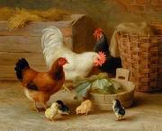 unknow artist Cocks 106 oil on canvas